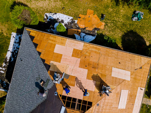Best Roof Maintenance Services  in Tillson, NY
