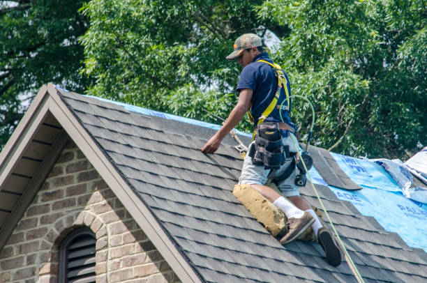 Best Roof Maintenance Services  in Tillson, NY